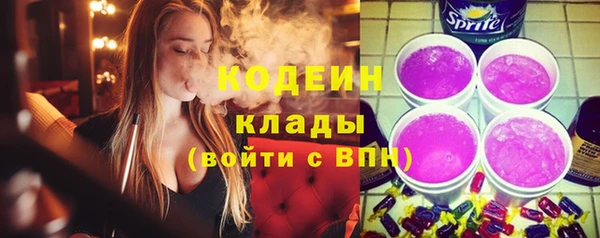 гашик Алексеевка