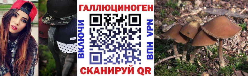 Псилоцибиновые грибы GOLDEN TEACHER продажа наркотиков Спасск-Рязанский